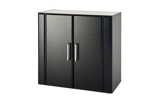 2 Door Wall Cabinet